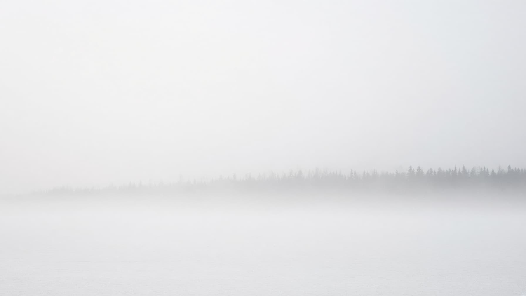A pale, near-white fog with a faint treeline at the horizon.